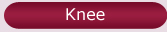 Knee